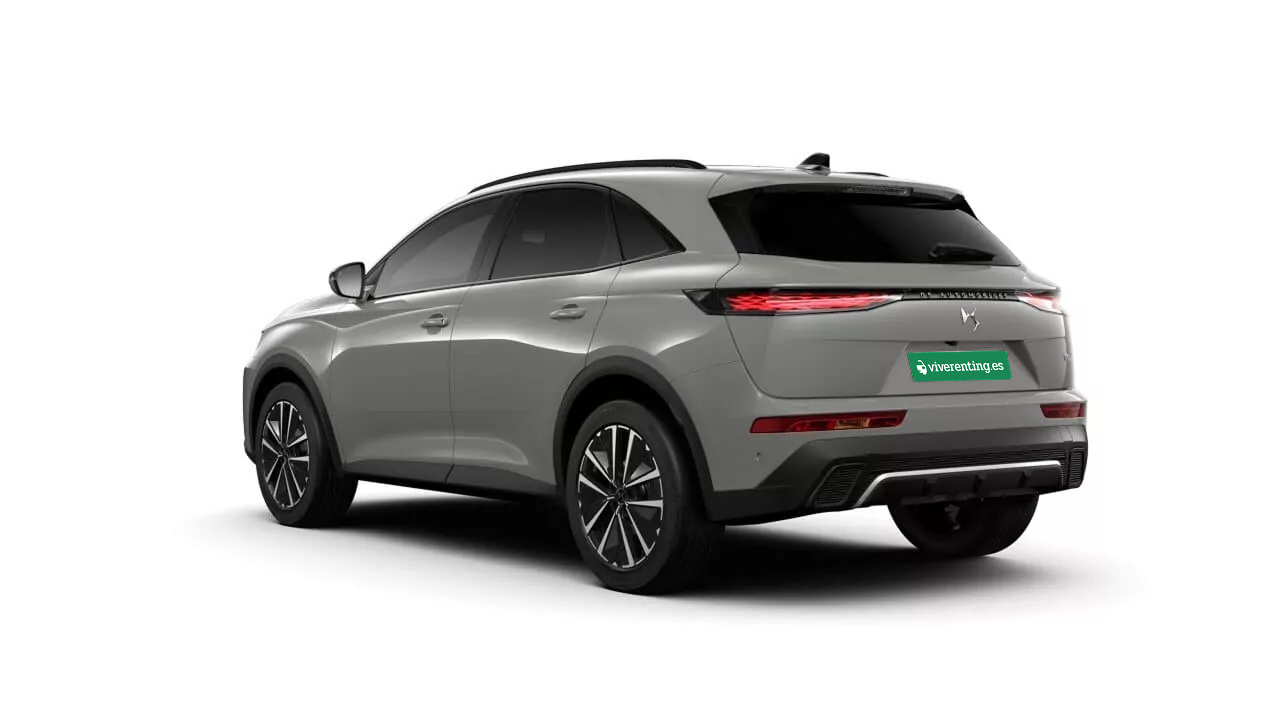 ds-7-pallas-back