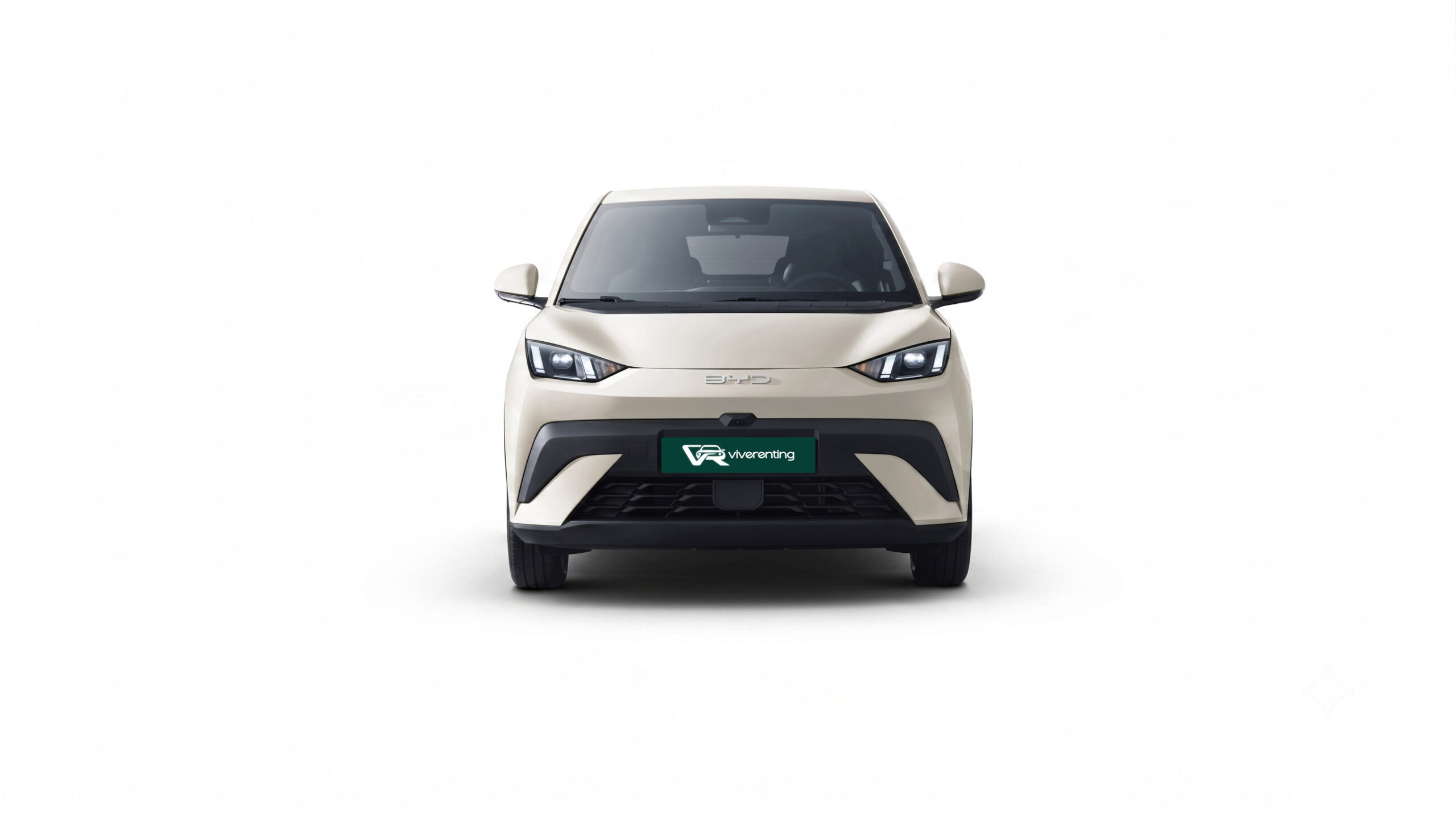 BYD DOLPHIN SURF BOOST FRONTAL